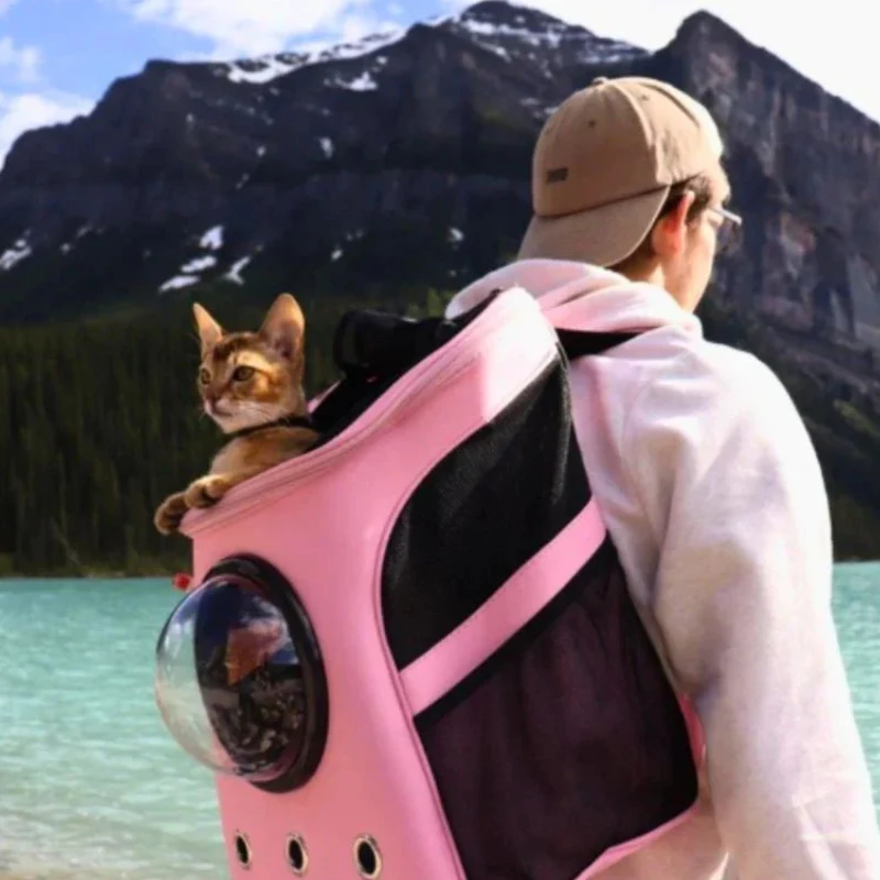 CatPorter – Transparent Cat Backpack with Dome Window & Ventilation Panels - Image 6