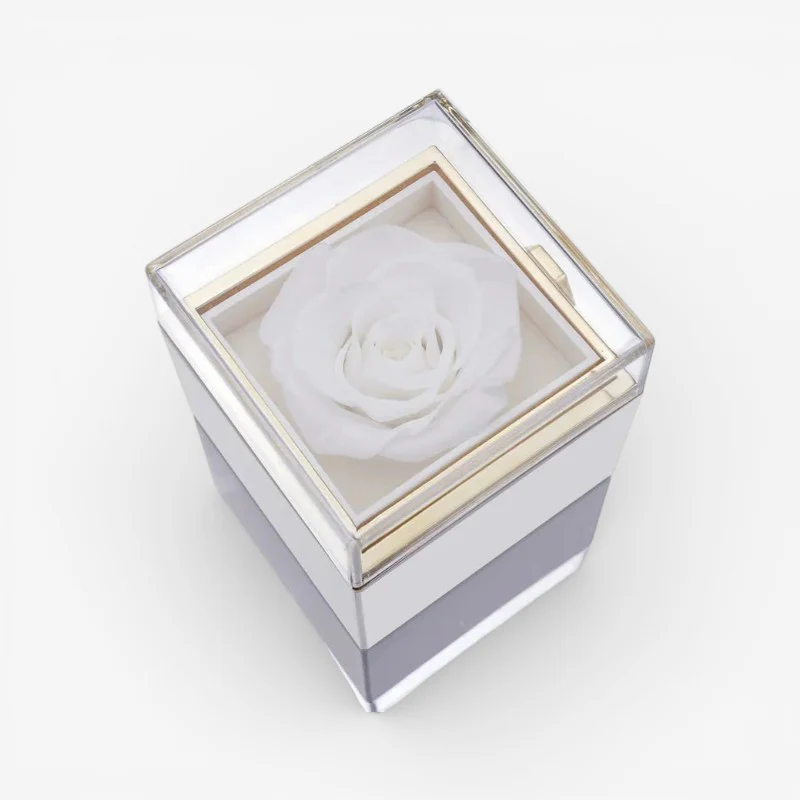 Rose Box with Heart Pendant Necklace - Image 4