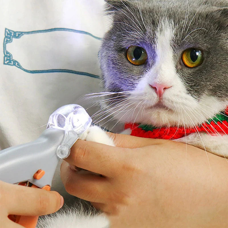 PawBright – Portable Animal Nail Clippers with LED Light - Image 2