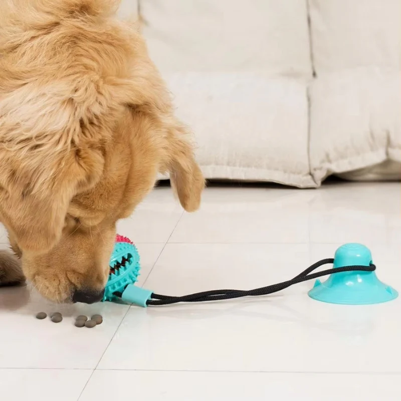 PawPlay – Interactive Dog Toy with Suction Cup & Texture - Image 5