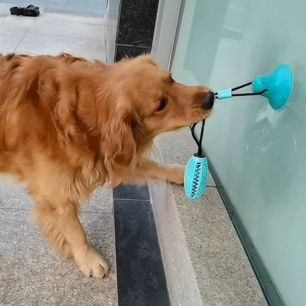 PawPlay – Interactive Dog Toy with Suction Cup & Texture - Image 7