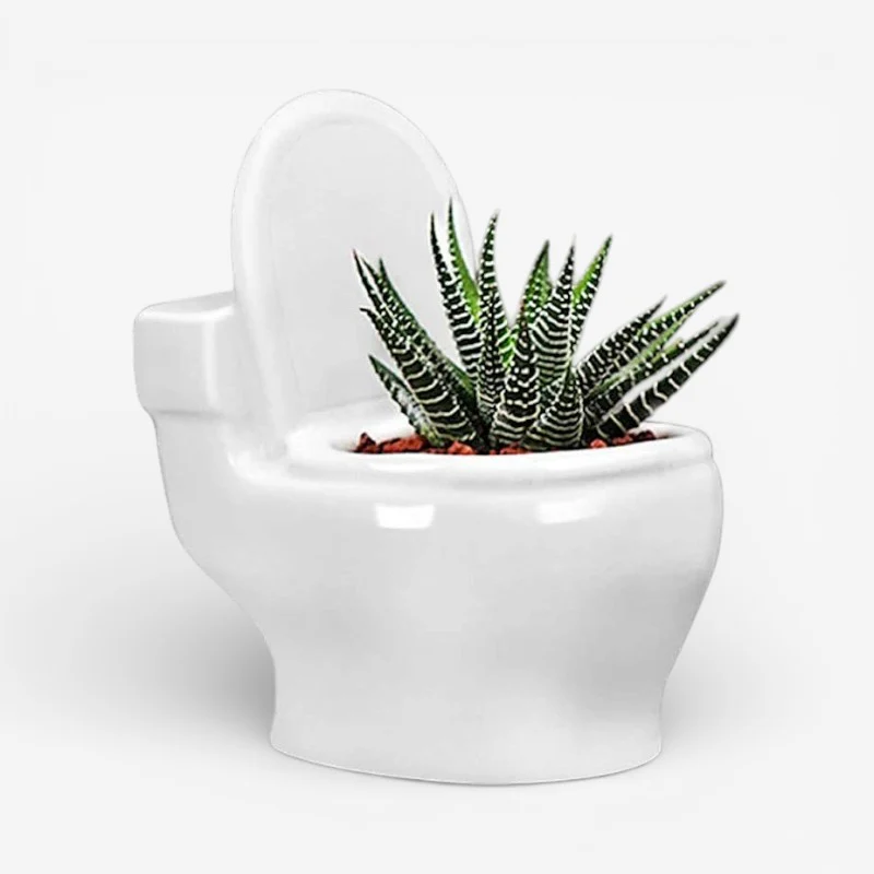 PottyCharm – Toilet-Shaped Succulent Planter