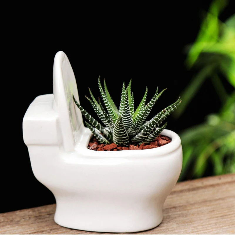 PottyCharm – Toilet-Shaped Succulent Planter - Image 4