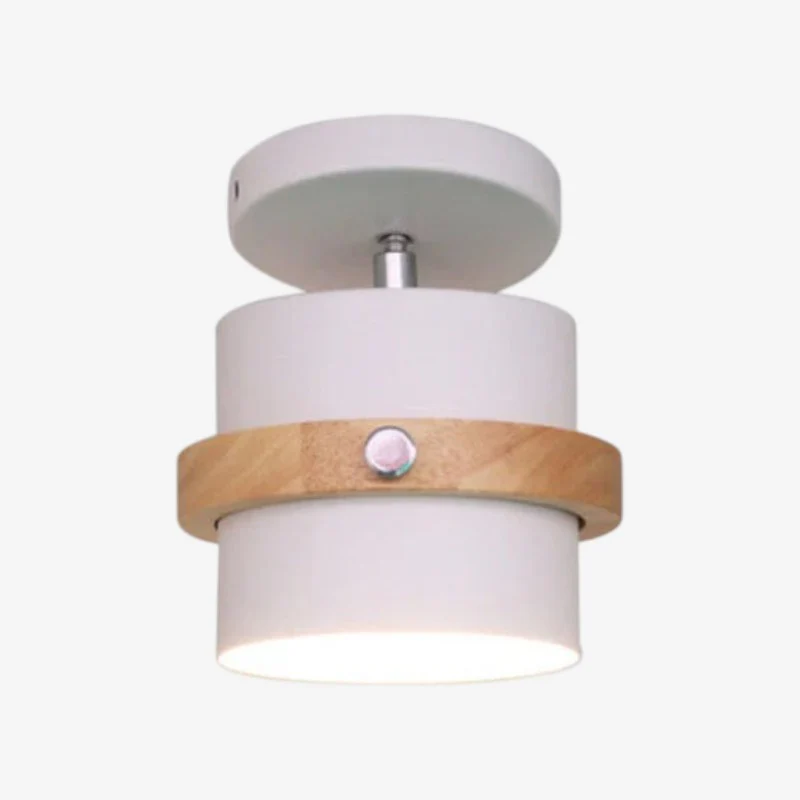 SpinLux – Rotating Ceiling Lamp - Image 2