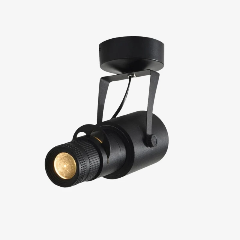 SpotFlex – Adjustable Indoor Spotlights